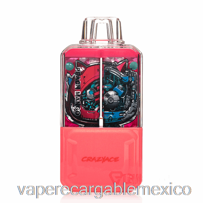 Vape Recargable Crazyace B15000 Desechable Melocotón Mango